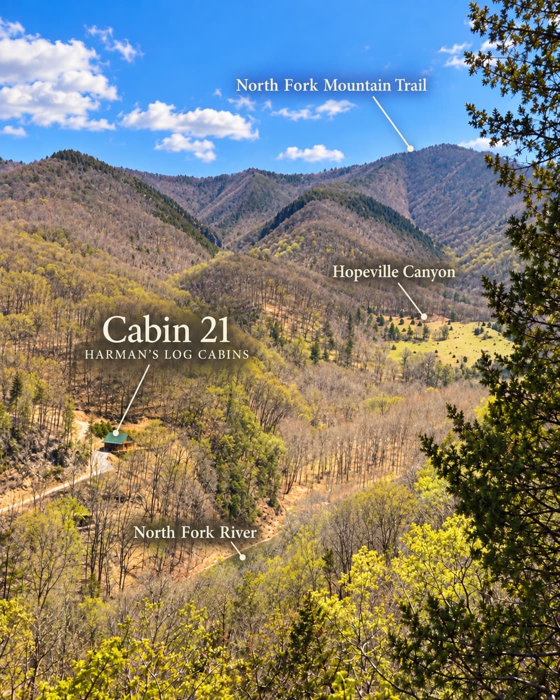 Cabin Image #2
