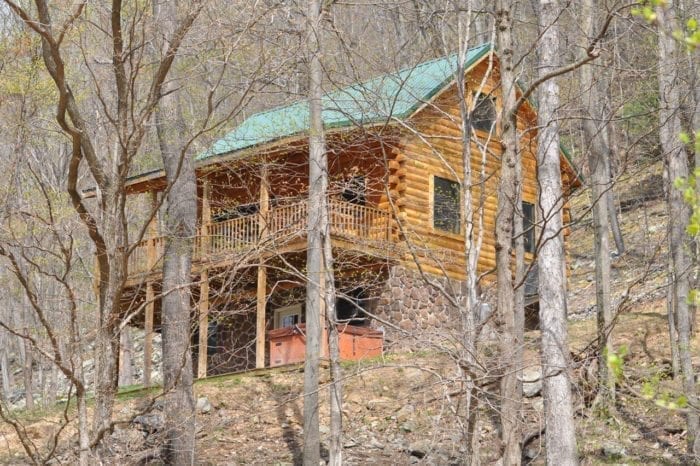 two bedroom log cabin near spruce knob wv