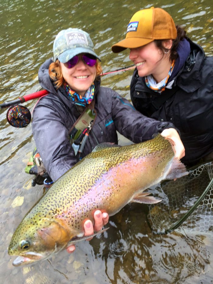 Western Pa Fly Fishing Hatch Chart