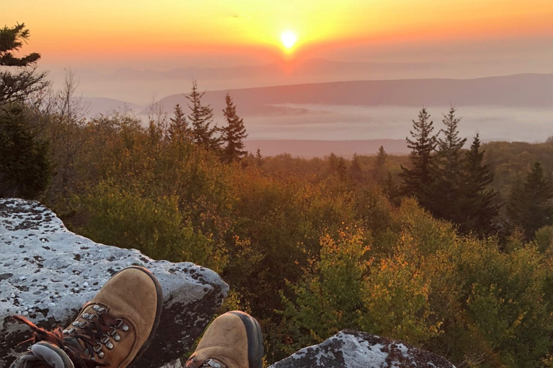 Scenic Views & Adventure: The Best Dolly Sods Hikes