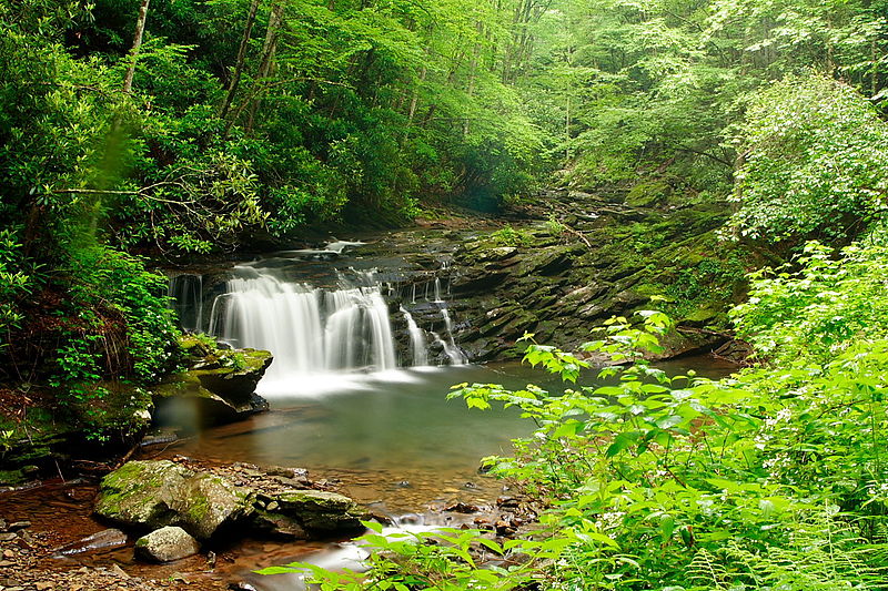 The Best West Virginia Waterfalls Road Trip