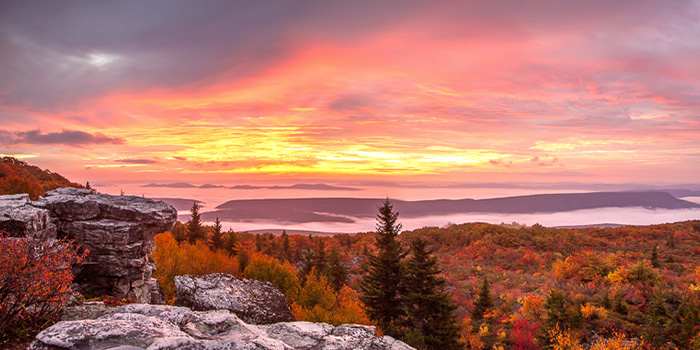 Dolly Sods view at dusk.